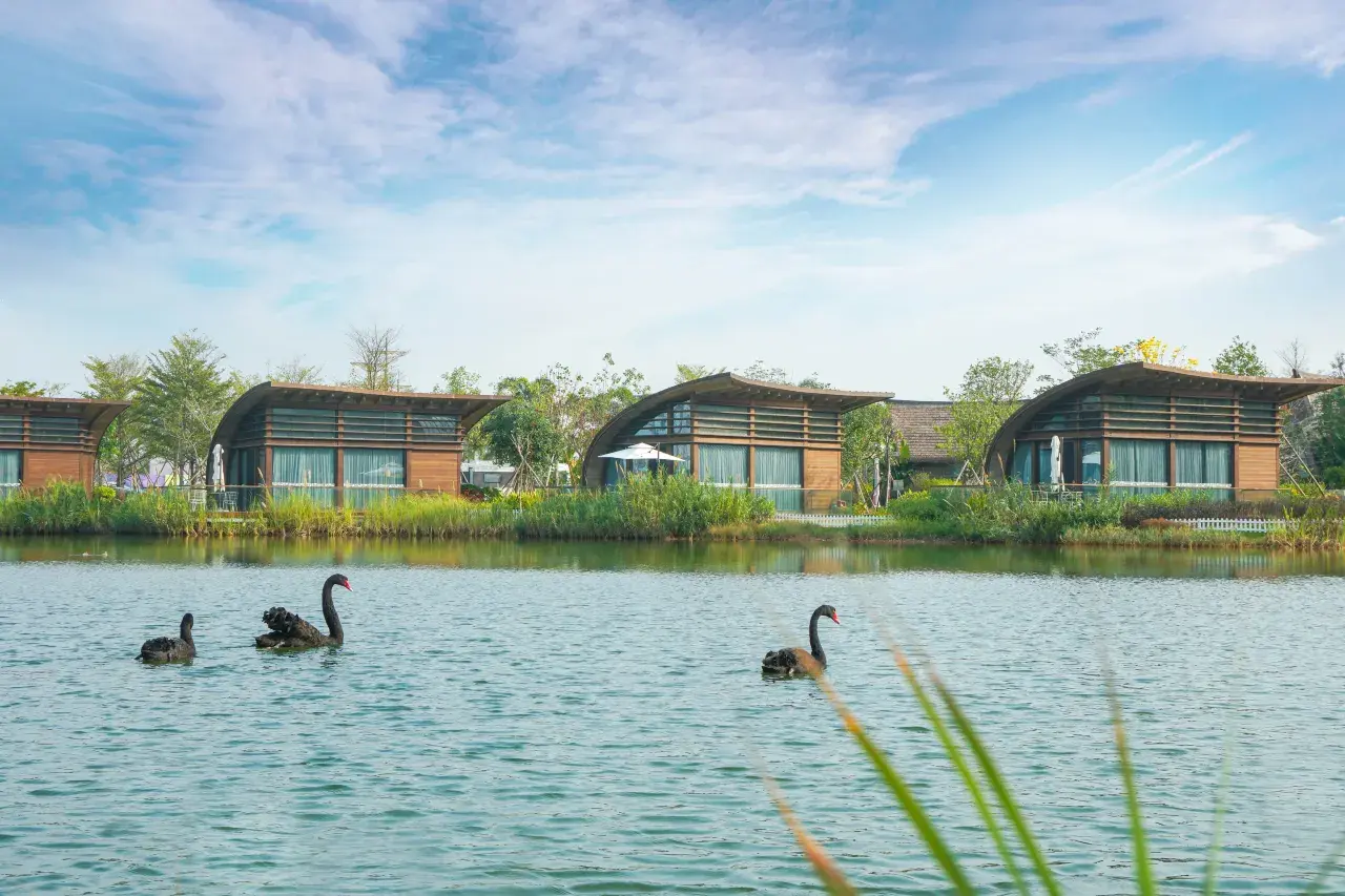 Hengqin Sumlodol Camping Park (61)