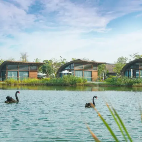 Qinfan Pavilion (Lake-View Courtyard Room)