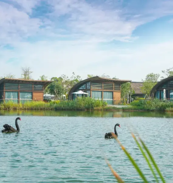 Qinfan Pavilion (Lake-View Courtyard Room)