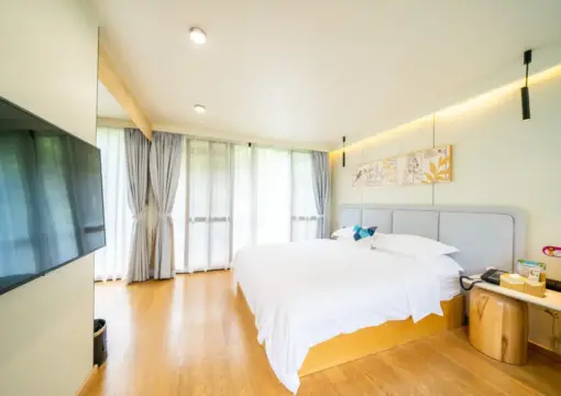 Starry Elegant Residence (Two-Bedroom Courtyard Suite)