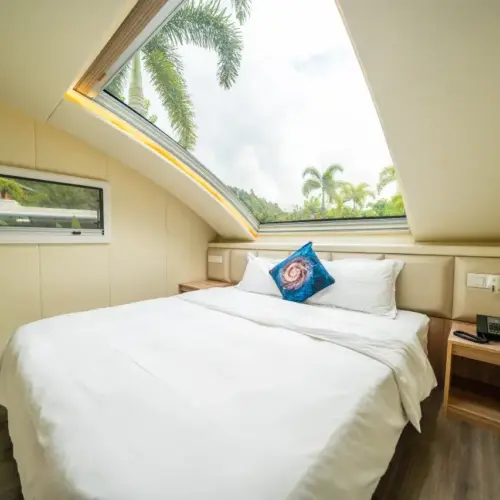 Starry Sky RV (Panoramic Skylight)