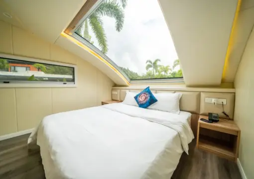 Starry Sky RV (Panoramic Skylight)