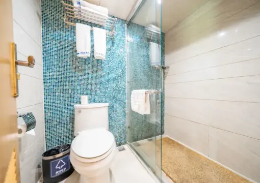 Starry Sky RV (Panoramic Skylight)