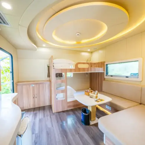 Starry Sky RV (Panoramic Skylight)